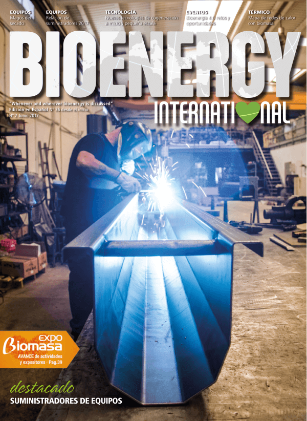Portada número bie 36