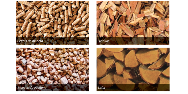 Los 4 tipos de biocombustibles más utilizados