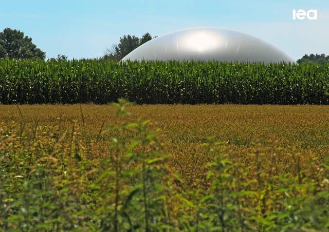 Biogas y biometano en 2040. Previsiones de la IEA