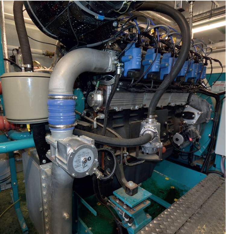 motor cogeneracion biomasa