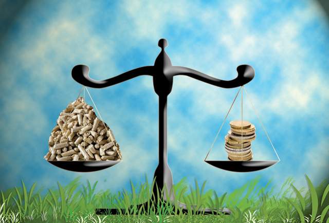 Precios de los biocombustibles solidos a cliente domestico final