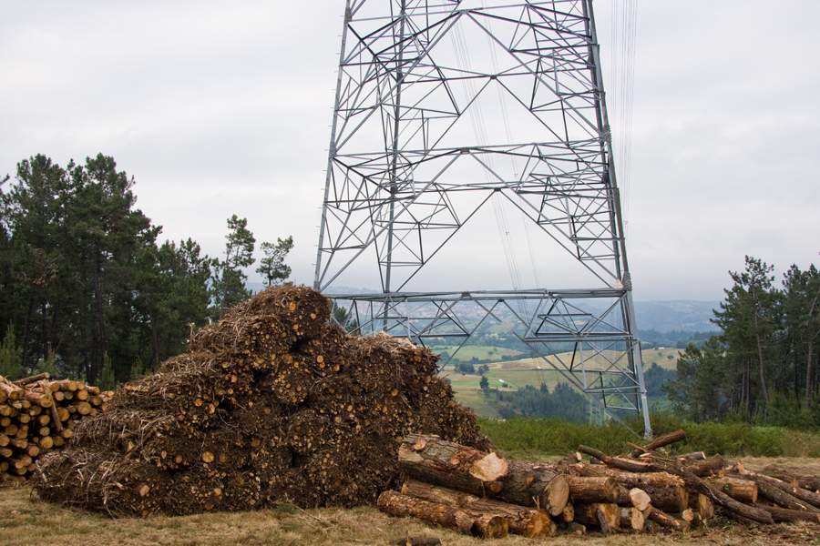 Biomasa en Tineo Asturias