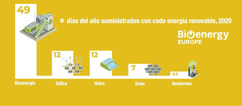 Dia bioenergia 2020 por tecnologias renovables