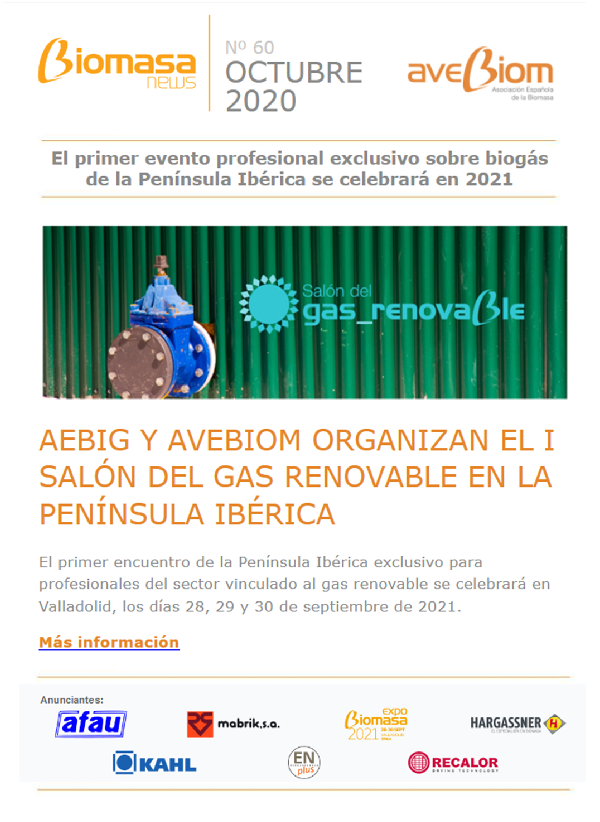 Boletín octubre 2020