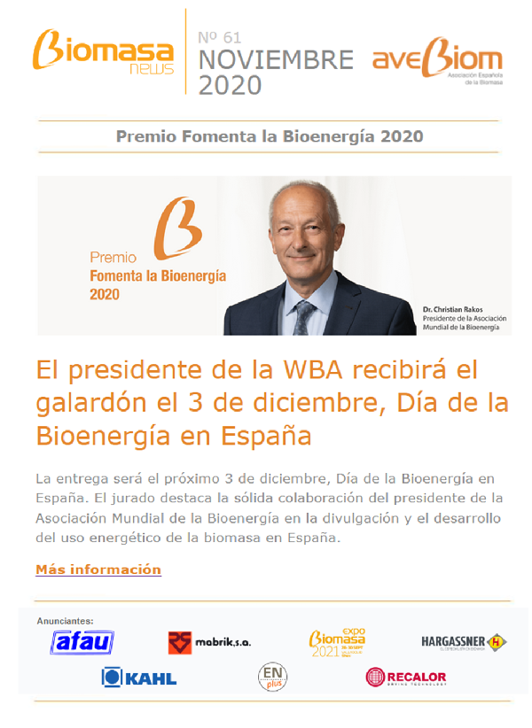 Boletín noviembre 2020