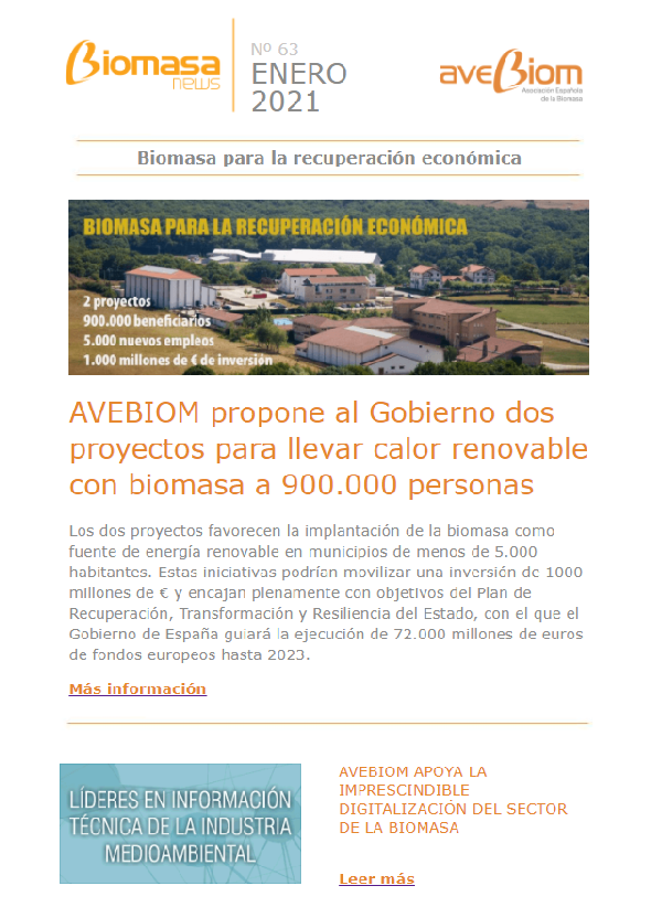 Boletín enero 2021