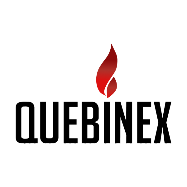Logo quebinex