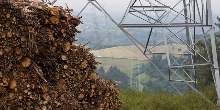 tercera subasta renovables 146 MW para biomasa