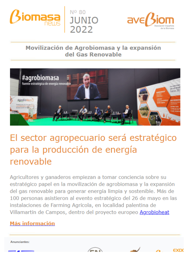 Newsletter 80