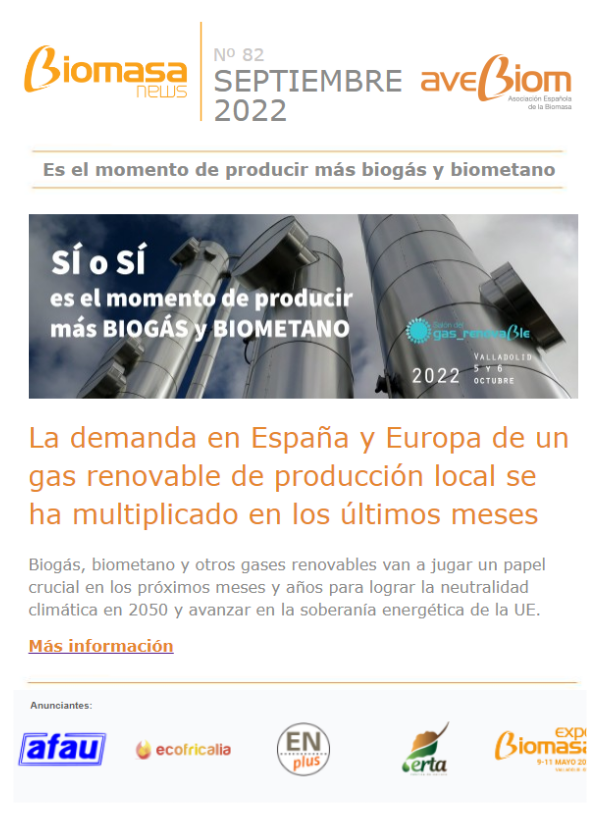 Newsletter 82
