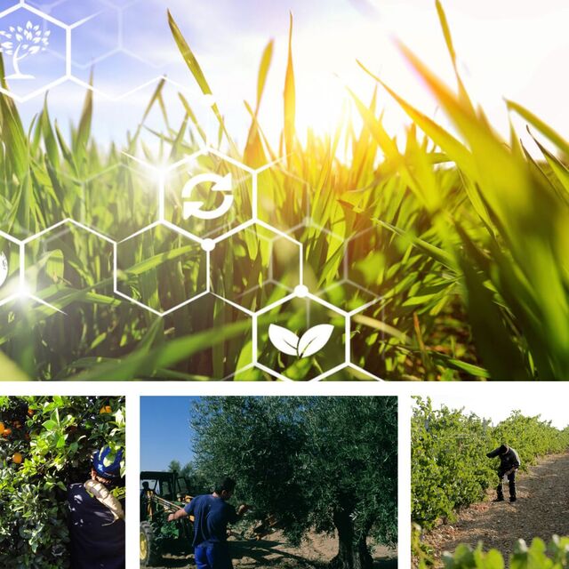 webinar restos agricolas para bioenergia coopid 2022