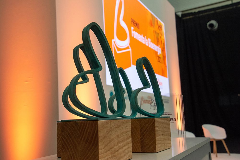 Concedidos los premios a la innovacion en biomasa de avebiom 2023