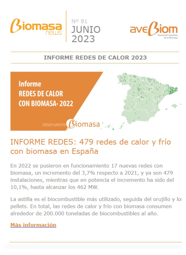 Biomasa news 91