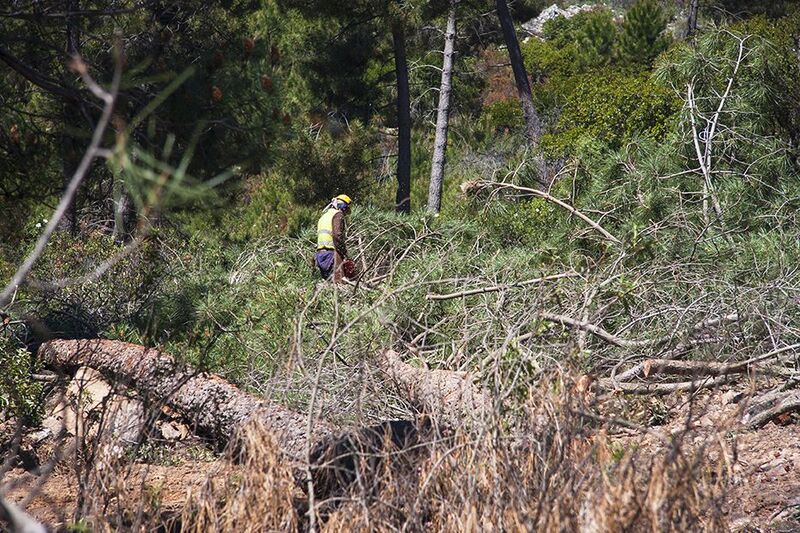 Enfrentando los grandes incendios forestales en Europa mediterránea con bioenergía sostenible