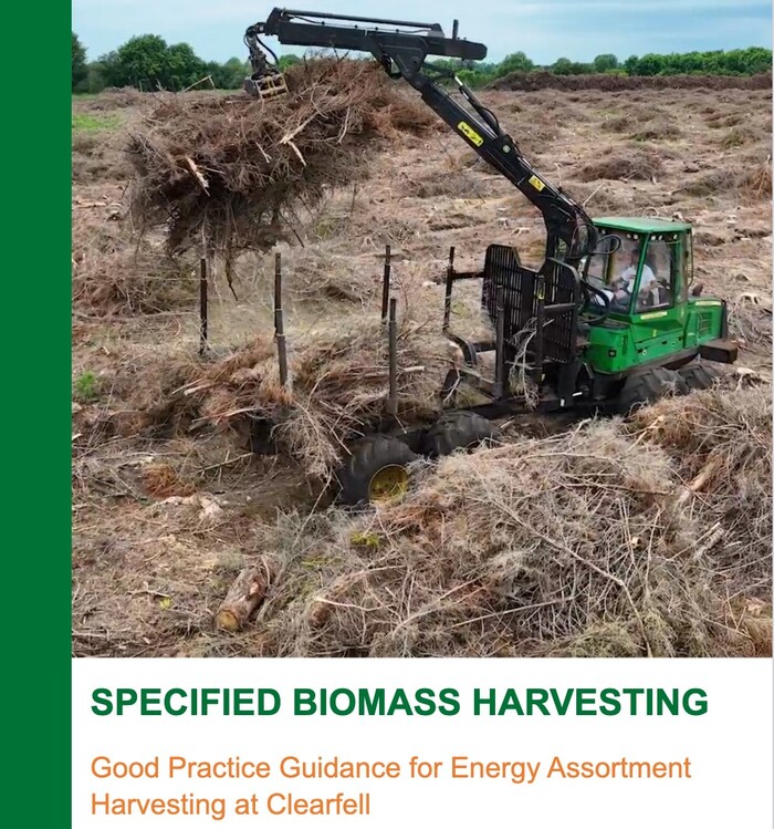 guia aprovechamiento biomasa forestal irlanda 2024