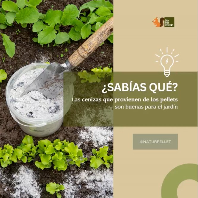 Naturpellet ofrece consejos sobre uso de la ceniza de la combustion de los pellets