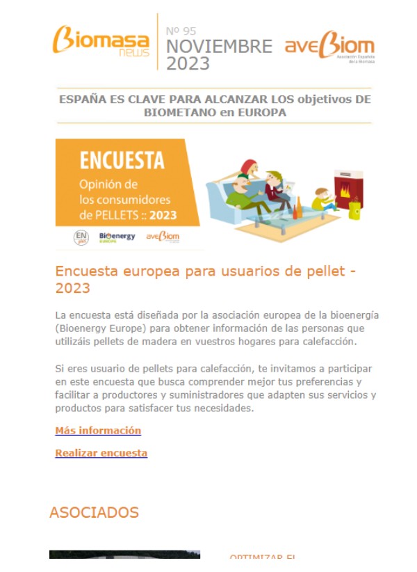 Biomasa news 95