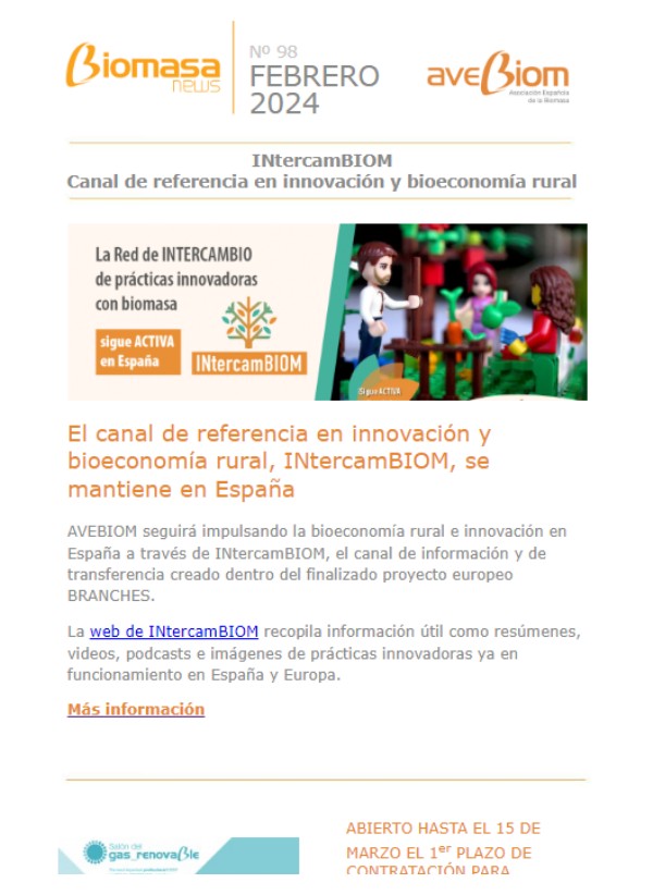 Biomasa news 98