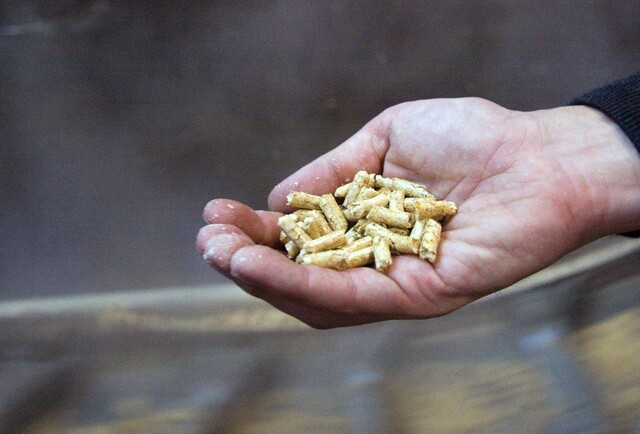 iva reducido para pellet y otras biomasas 2024