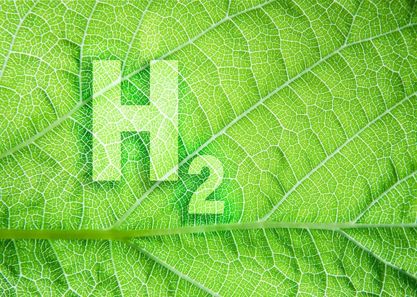 H2 de biomasa proyectos ayudas AGO24