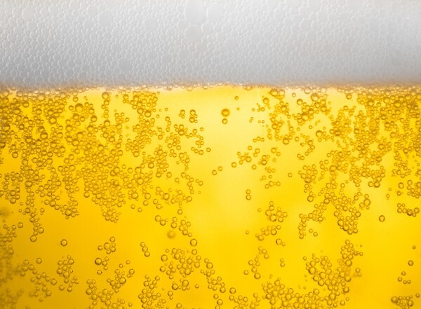 planta de biomasa en mahou san miguel 2024