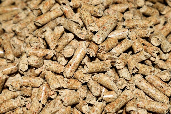 bioenergy iberica y talentya acuerdo nov24