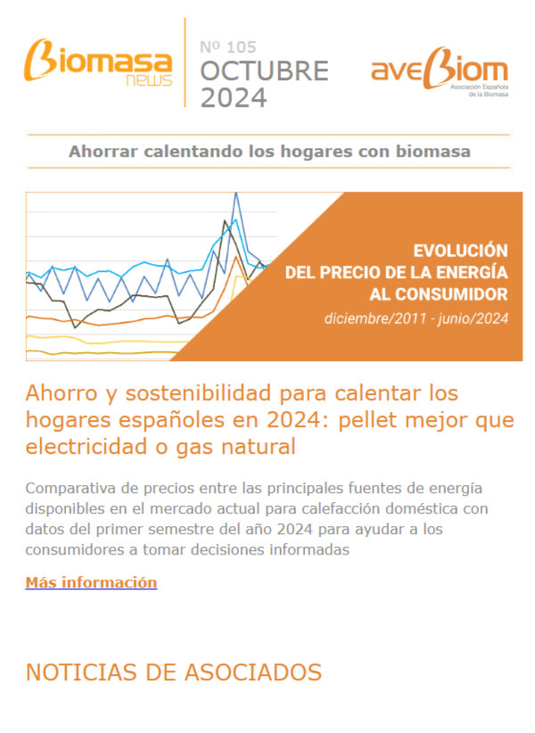 Biomasa news 105