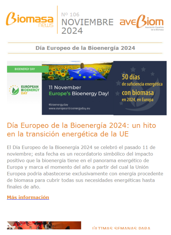 Biomasa news 106