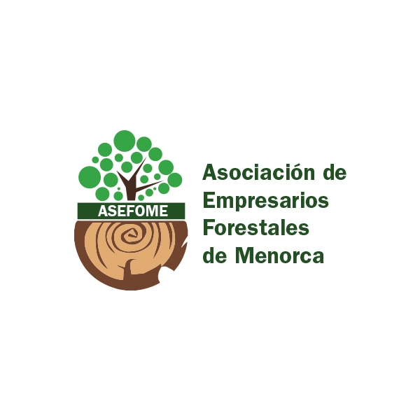 ASEFOME logo