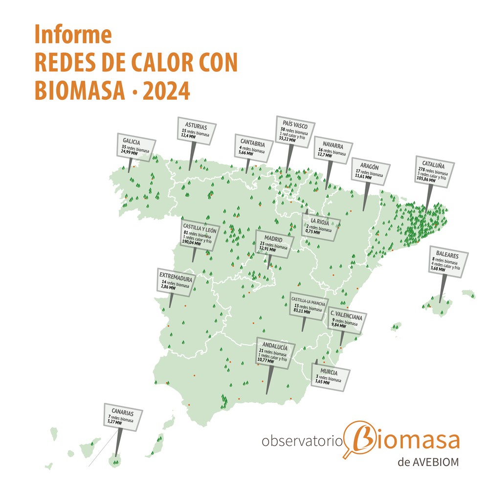 informe redes calor biomasa 2024 publicado en 2025