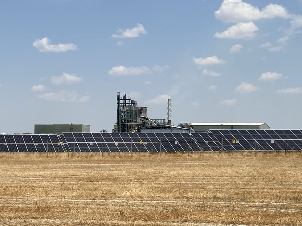 neoelectra fotovoltaica y biomasa