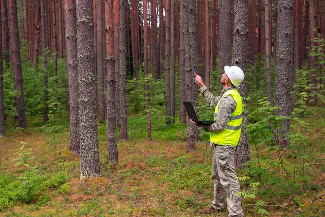 SURE reconoce oficialmente el bajo riesgo de los montes españoles en la producción de biomasa forestal