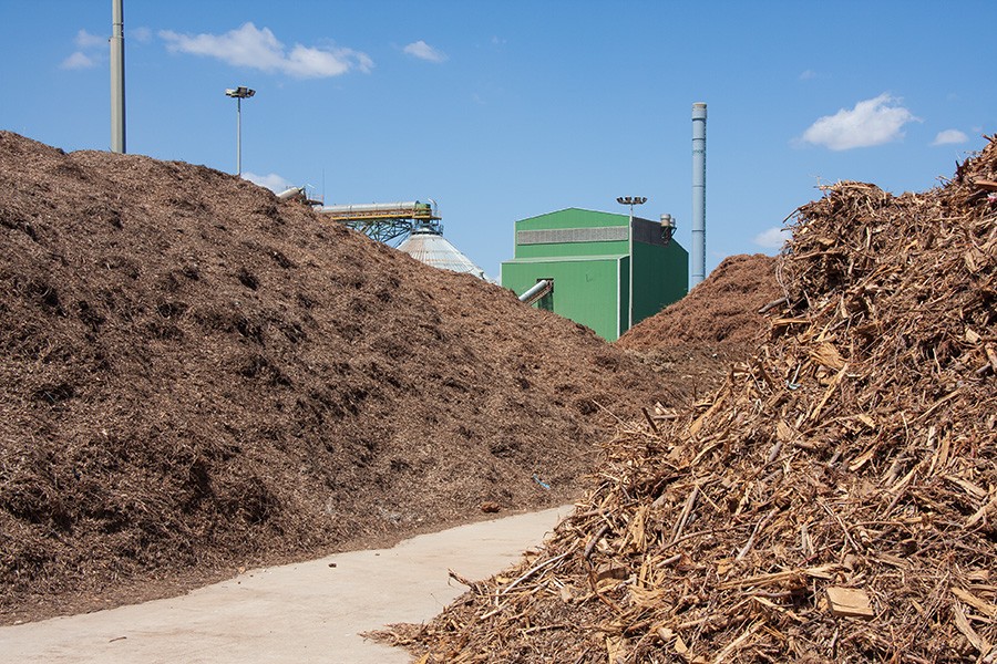 50 millones idae para cogeneracion renovable biomasa