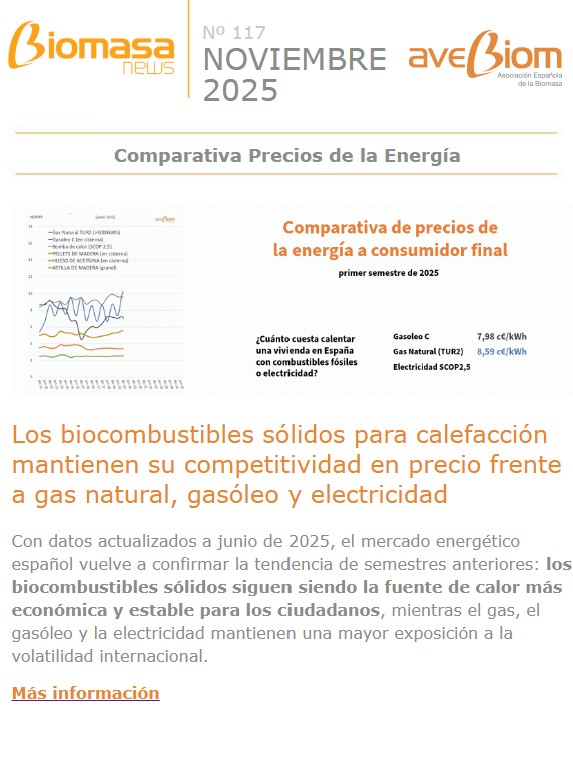 Biomasa news 117
