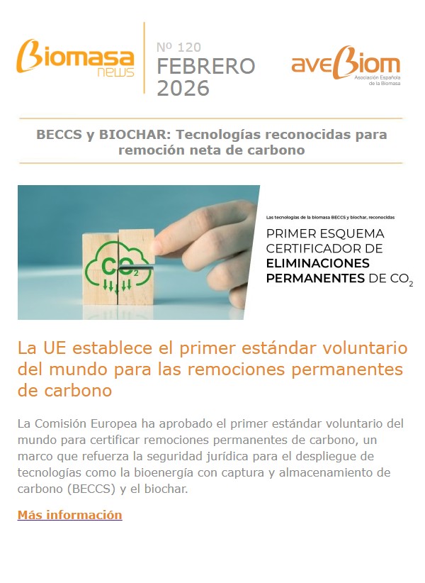 Biomasa news 120