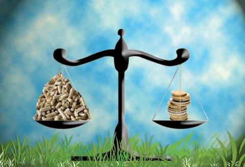 Precios de los biocombustibles solidos a cliente domestico final