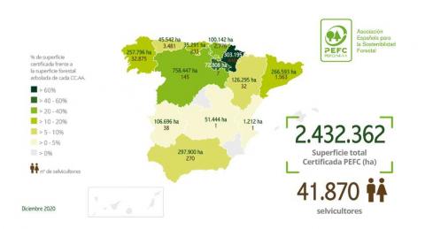 Superficie y selvicultores certificados PEFC 2020