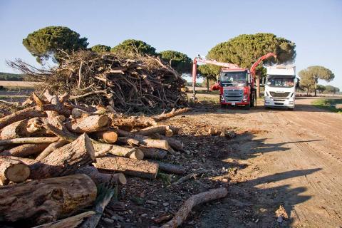 centro logistico biomasa leon 2022