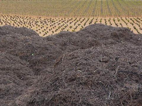 Plataforma Nacional de la Biomasa Agrícola, Ganadera y de sus Industrias Afines