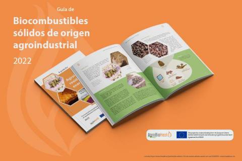 guia de los biocombustibles solidos agroindustriales para energia de AVEBIOM biomasa