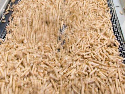 pellets en fabrica espana 2022