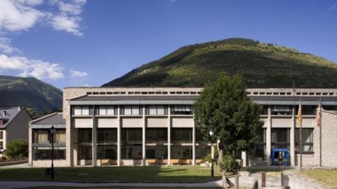 hospital vielha con biomasa caldera herz termosun