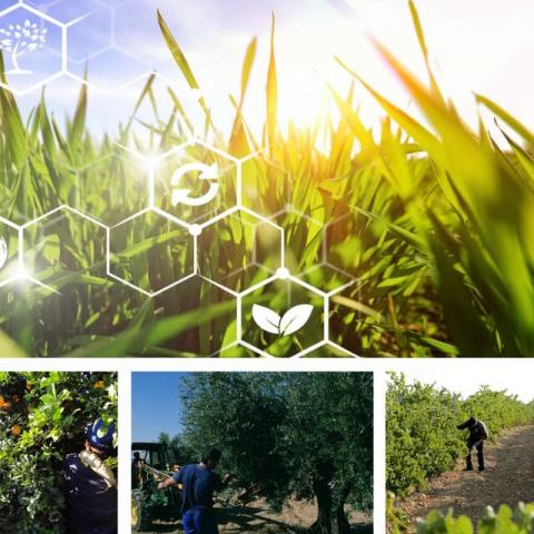 webinar restos agricolas para bioenergia coopid 2022