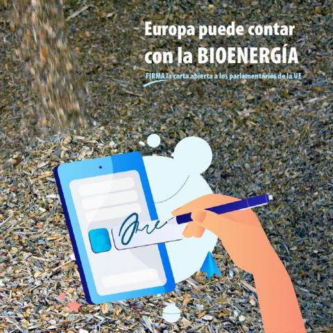 firma carta abierta biomasa para parlamentarios UE