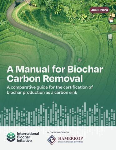 manual biochar junio 2024