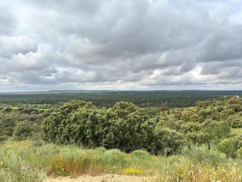 castilla y leon monte bioenergia ces