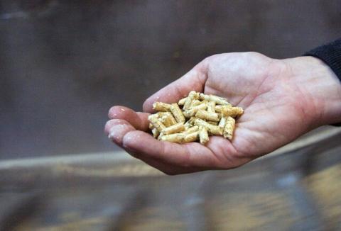 iva reducido para pellet y otras biomasas 2024