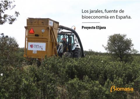 jarales fuente de bioeconomia, biomasa, aceite, paisaje