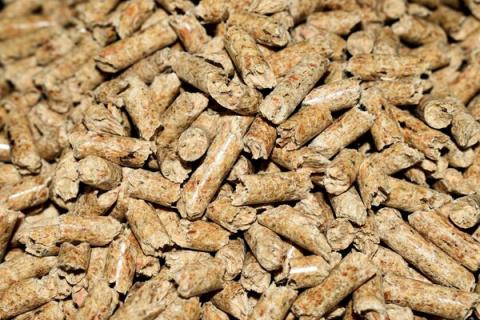 bioenergy iberica y talentya acuerdo nov24