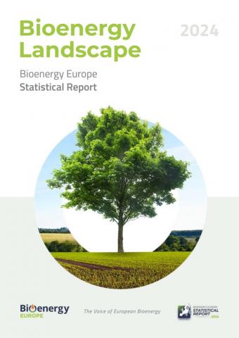 landscape report de bioenergy europe 2024